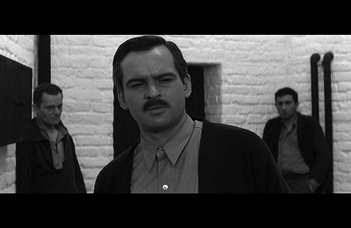 NFI Egyetemi Filmklub vetítés és beszélgetés.