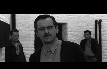 NFI Egyetemi Filmklub vetítés és beszélgetés.